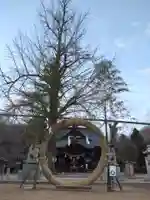 賀羅加波神社の本殿・本堂