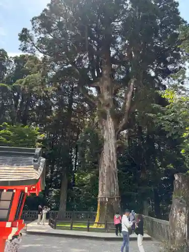 霧島神宮(鹿児島県)
