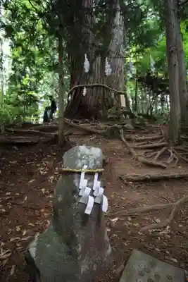 戸隠神社火之御子社(長野県)