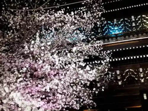 知恩院(京都府)