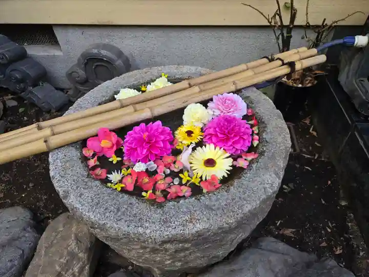 戸越八幡神社(東京都)