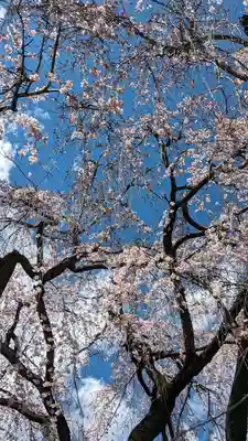 本満寺(本願満足寺)(京都府)