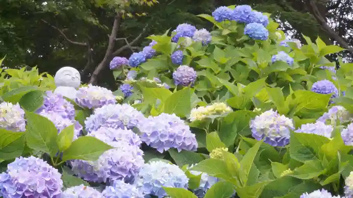 柳谷観音 楊谷寺(京都府)