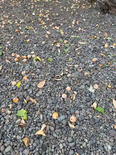 髙部屋神社(神奈川県)