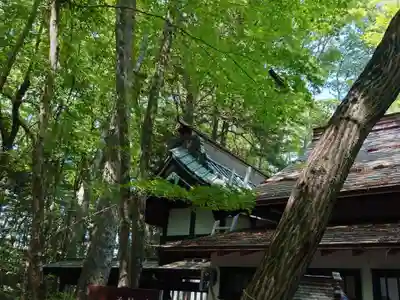 新屋山神社の本殿・本堂