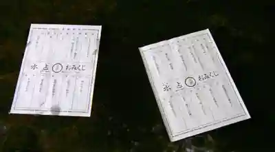 貴船神社のおみくじ
