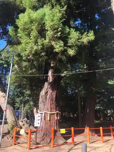 息栖神社(茨城県)