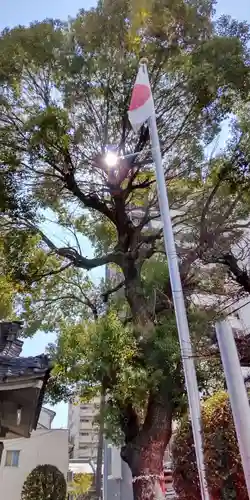 若宮八幡大神宮(大阪府)