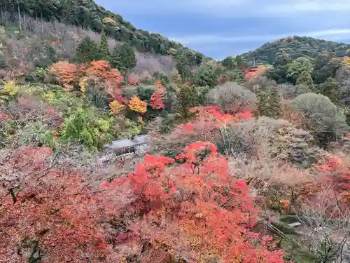清水寺(京都府)