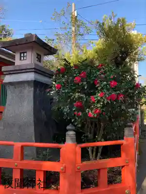 枚聞神社(鹿児島県)