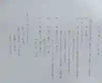 竹原神社(宮城県)