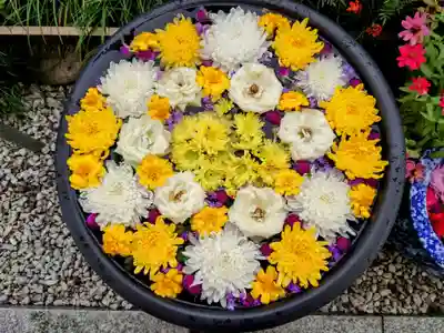 埼玉厄除け開運大師・龍泉寺（切り絵御朱印発祥の寺）(埼玉県)
