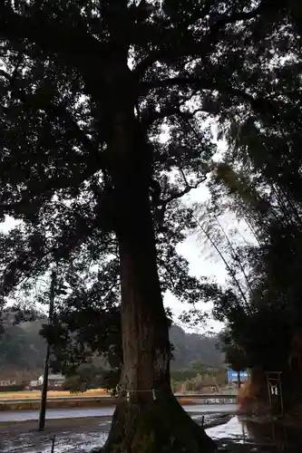 七社神社(鹿児島県)
