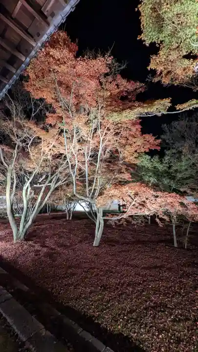 妙覺寺(妙覚寺)(京都府)