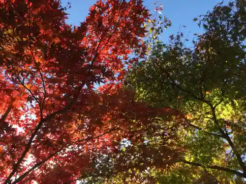 宝徳寺(群馬県)