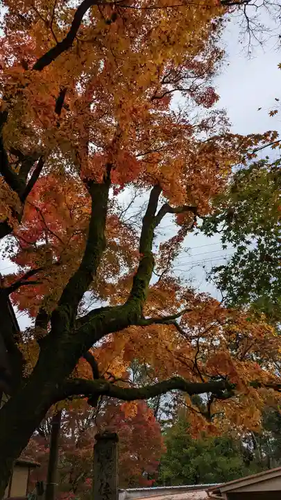 安楽寺(京都府)