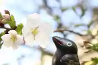 くまくま神社(導きの社 熊野町熊野神社)の自然