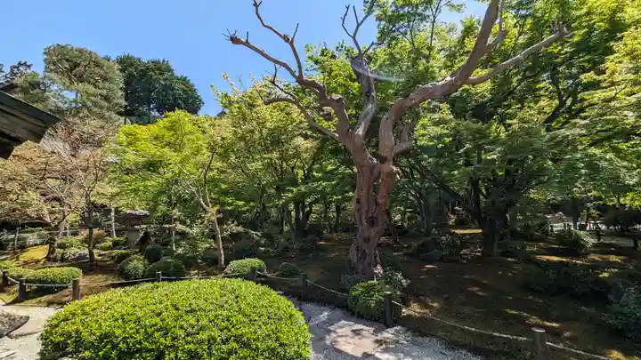 圓光寺(京都府)