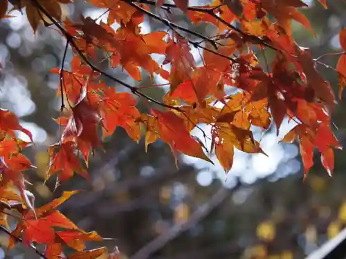 天王山 安楽寺(福井県)