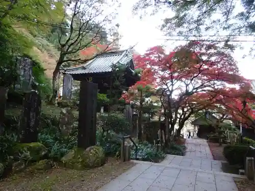 最乗寺（道了尊）の自然