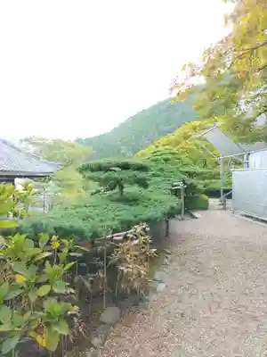 善峯寺(京都府)