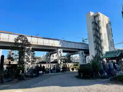 妙蓮寺(東京都)