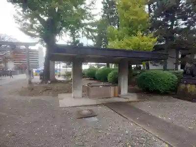 福井神社の手水舎