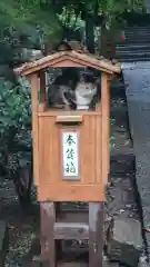 唐澤山神社の動物