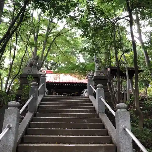 氷川神社の狛犬