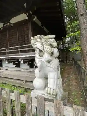 篠崎浅間神社の狛犬