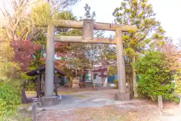 天津神社の鳥居