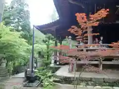 華厳寺(岐阜県)