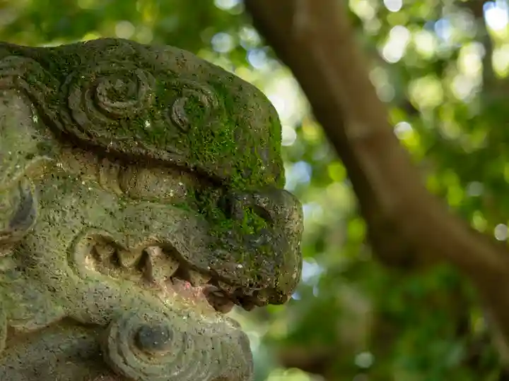 赤坂氷川神社(東京都)