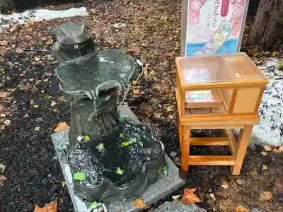 札幌諏訪神社のおみくじ