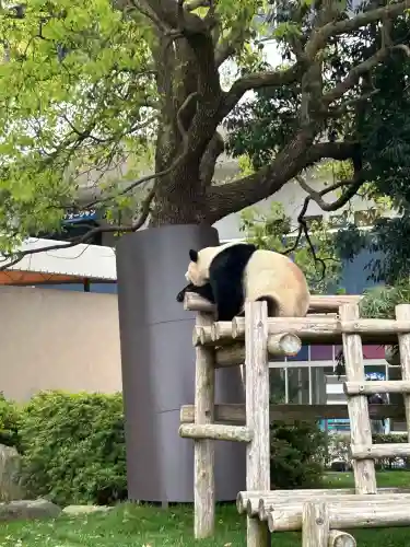 闘鶏神社(和歌山県)