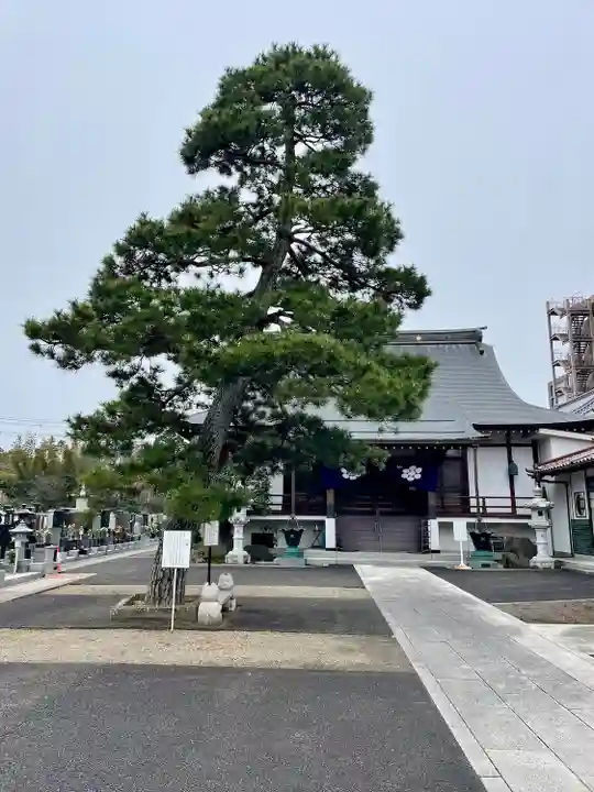 妙音院(宮城県)