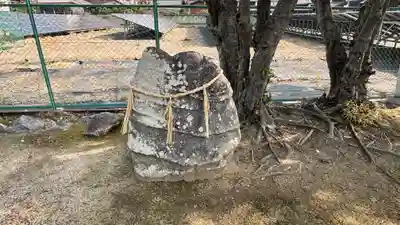 春日神社(奈良県)