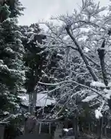高司神社〜むすびの神の鎮まる社〜の自然