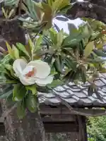 長源寺(岐阜県)