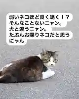 専念寺(大阪府)