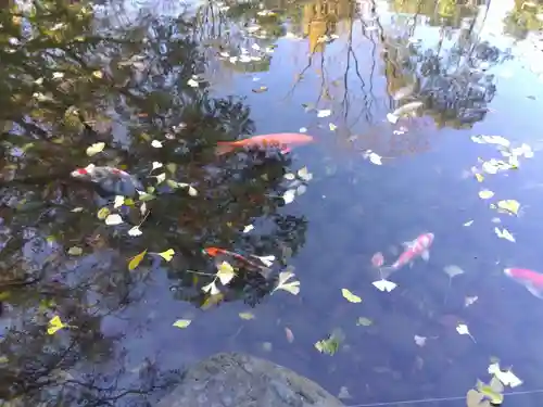 熱田神宮(愛知県)