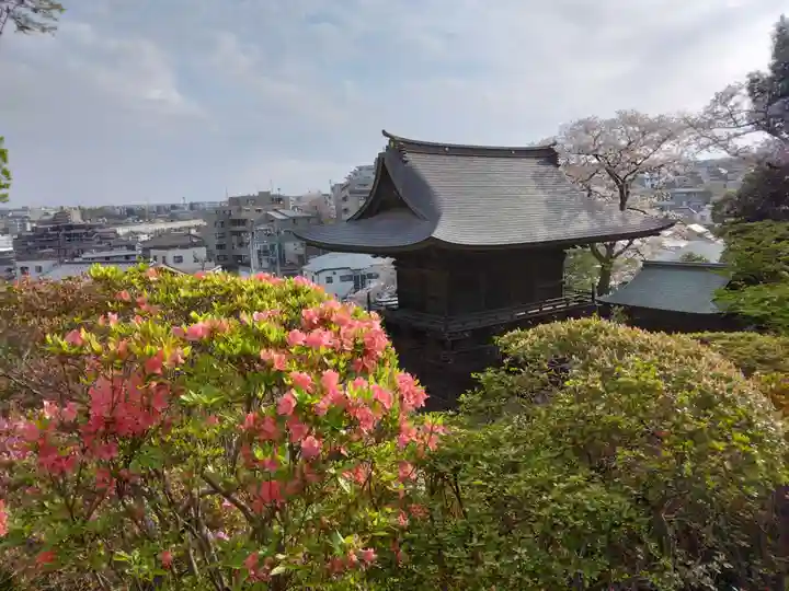 等覚院(神奈川県)