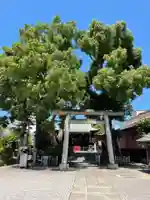 小村井 香取神社の鳥居