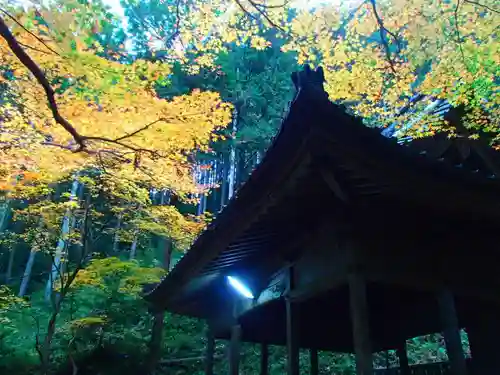 春日神社の本殿・本堂