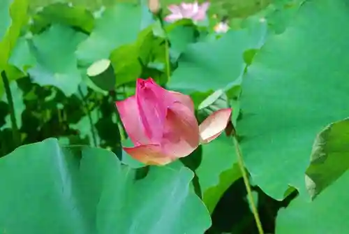 源久寺(山口県)