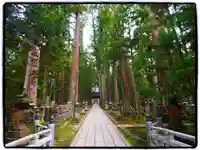 高野山金剛峯寺奥の院(和歌山県)