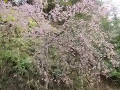 華厳寺(岐阜県)