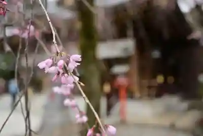 鈴鹿明神社(神奈川県)