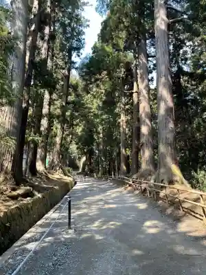 中尊寺(岩手県)