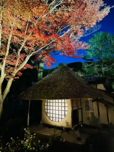 高台寺（高台寿聖禅寺・高臺寺）(京都府)
